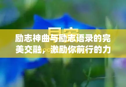 明眸皓齿
