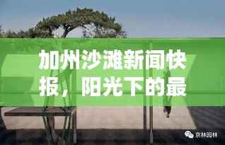 不翼而飞