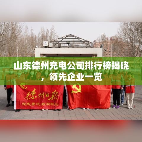 山东德州充电公司排行榜揭晓，领先企业一览