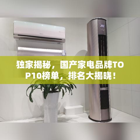 独家揭秘，国产家电品牌TOP10榜单，排名大揭晓！