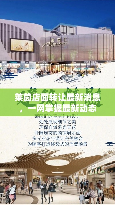 解决方案 第11页