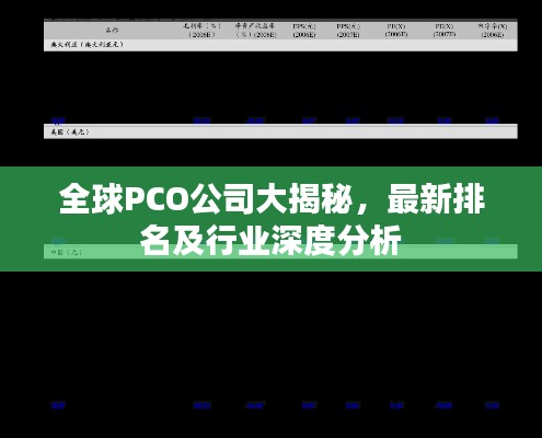 全球PCO公司大揭秘，最新排名及行业深度分析