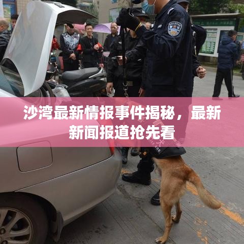 沙湾最新情报事件揭秘，最新新闻报道抢先看