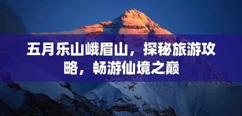 新闻中心 第7页