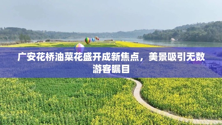 产品知识 第6页