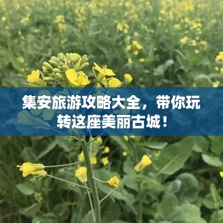 品质保障 第7页