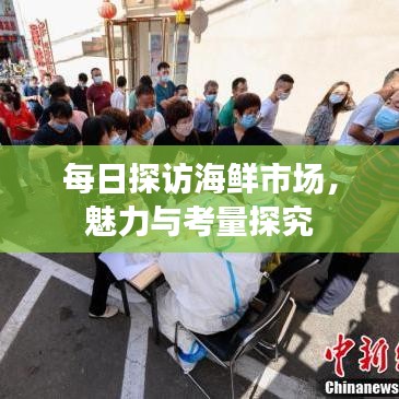 每日探访海鲜市场，魅力与考量探究